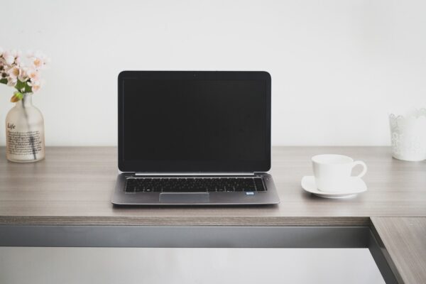 E-Commerce Startups: Building Empires On Niche Dreams