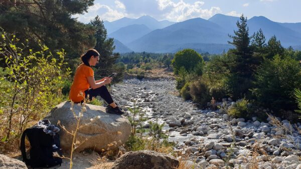 Contract Alchemy: Turning Skills Into Gold