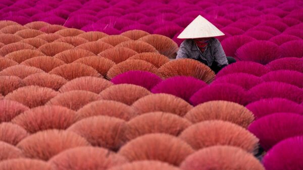 Millennial Careers: Redefining Value, Work, And Purpose